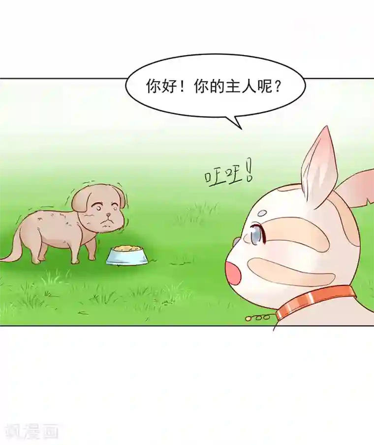 狗粮好吃第31话