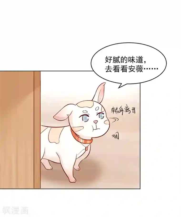 狗粮好吃第32话