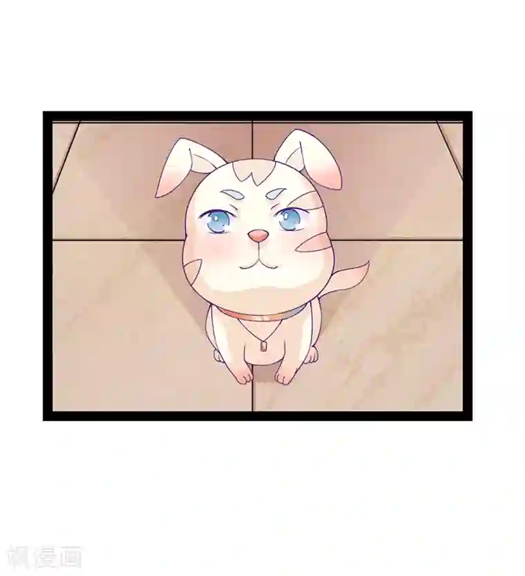 狗粮好吃第35话