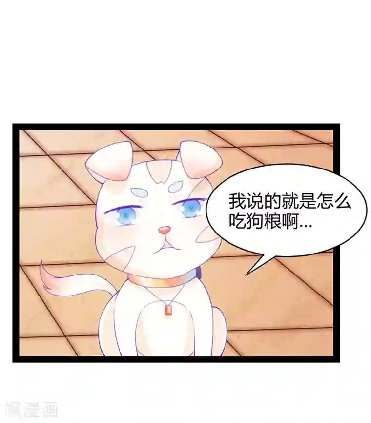 狗粮好吃第36话
