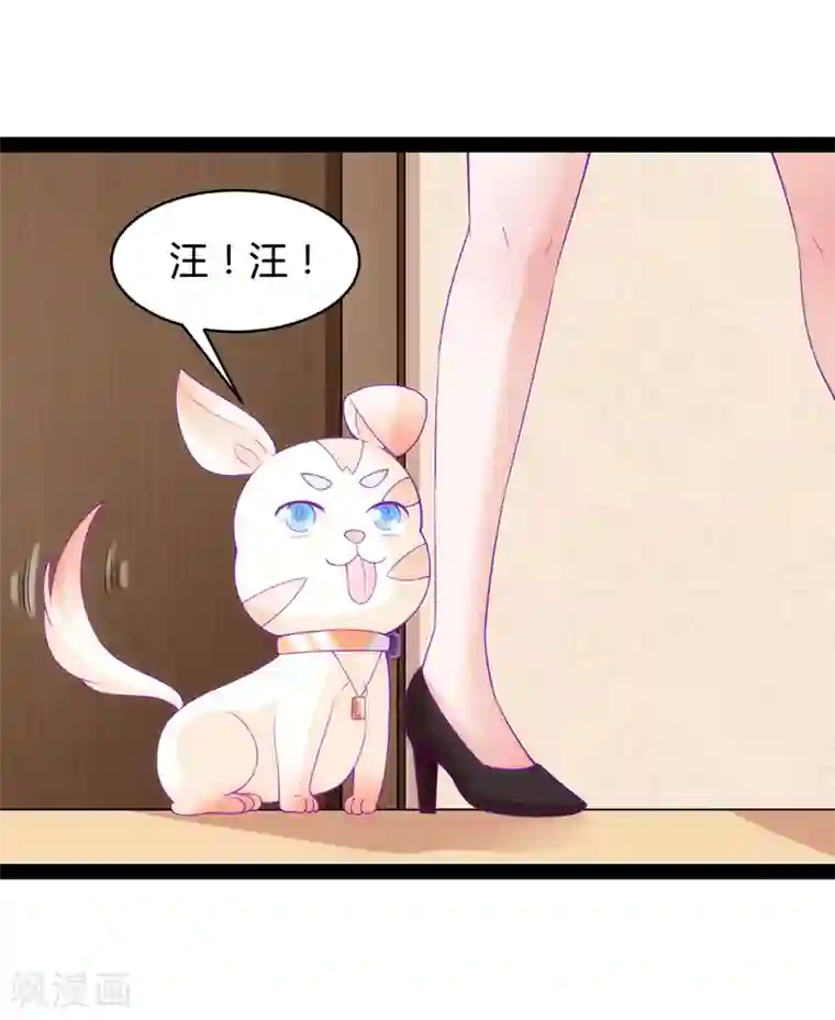 狗粮好吃第36话