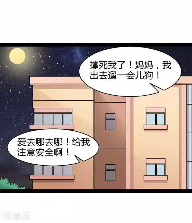 狗粮好吃第37话