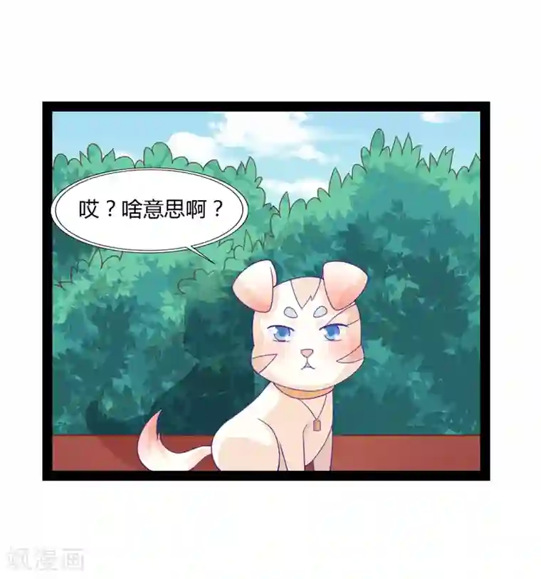 狗粮好吃第39话