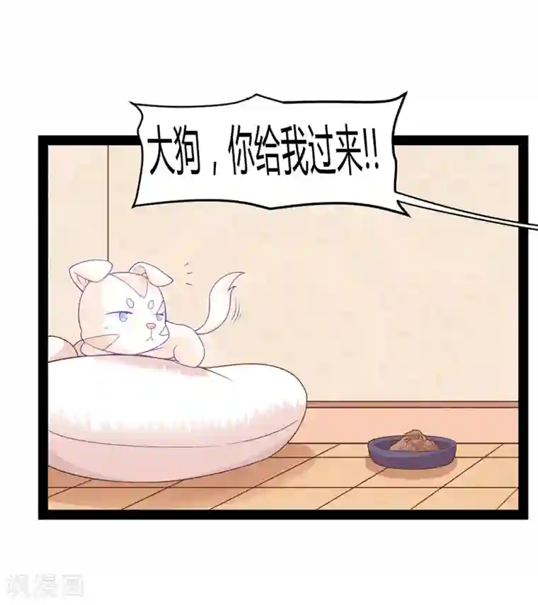 狗粮好吃第40话