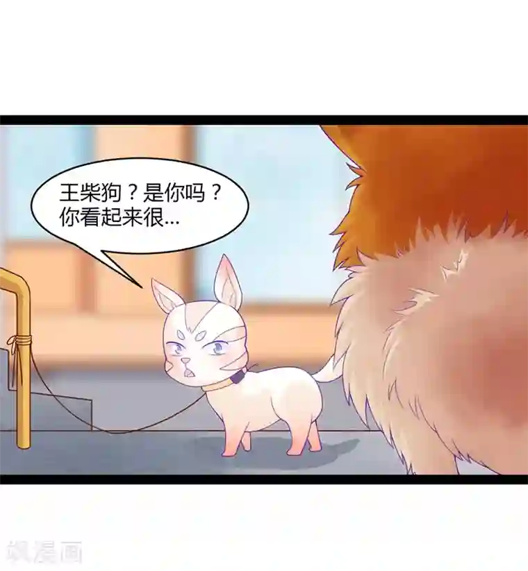 狗粮好吃第41话