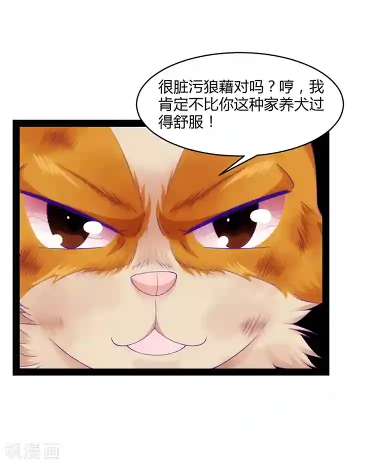 狗粮好吃第41话