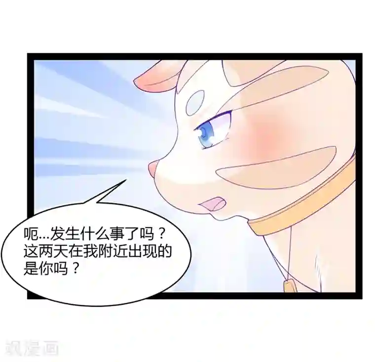 狗粮好吃第41话