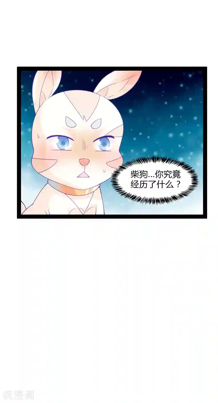 狗粮好吃第41话