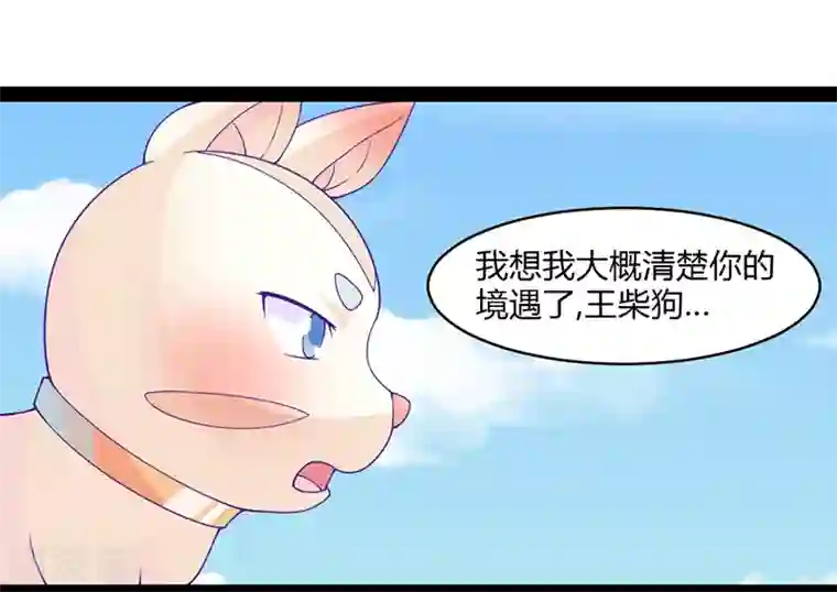 狗粮好吃第41话