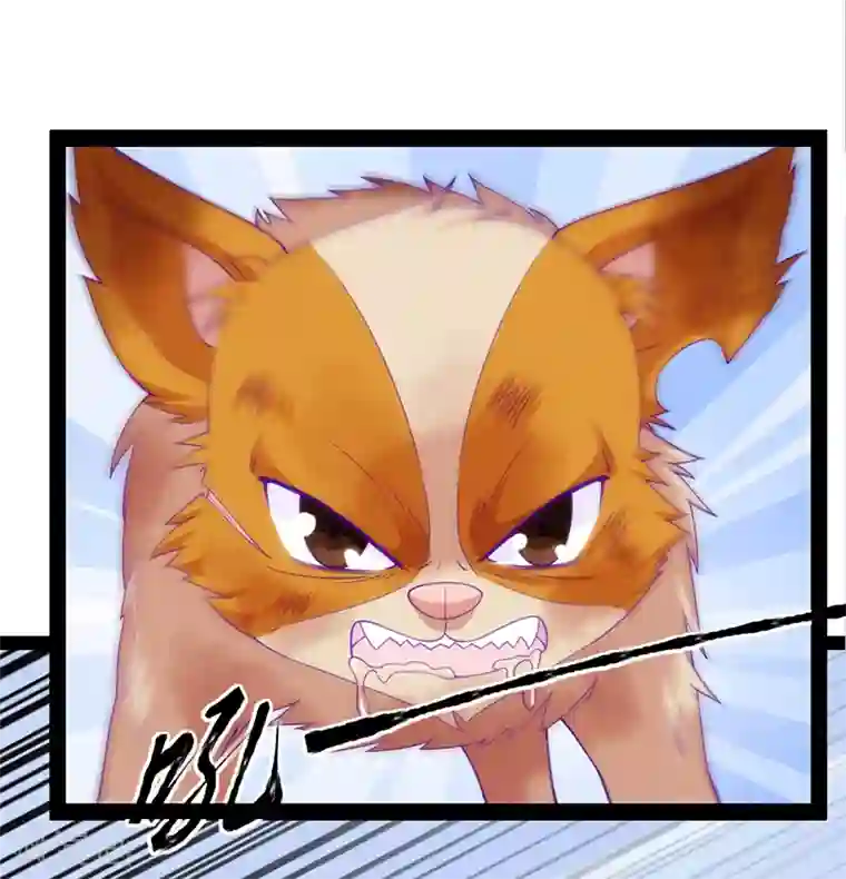 狗粮好吃第41话