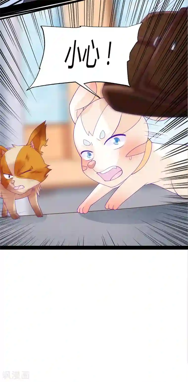 狗粮好吃第41话