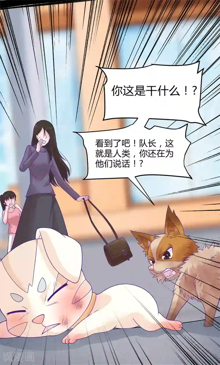 狗粮好吃第42话