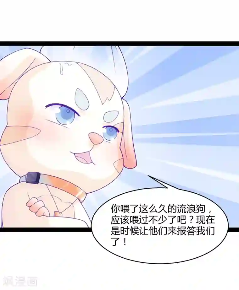 狗粮好吃第42话