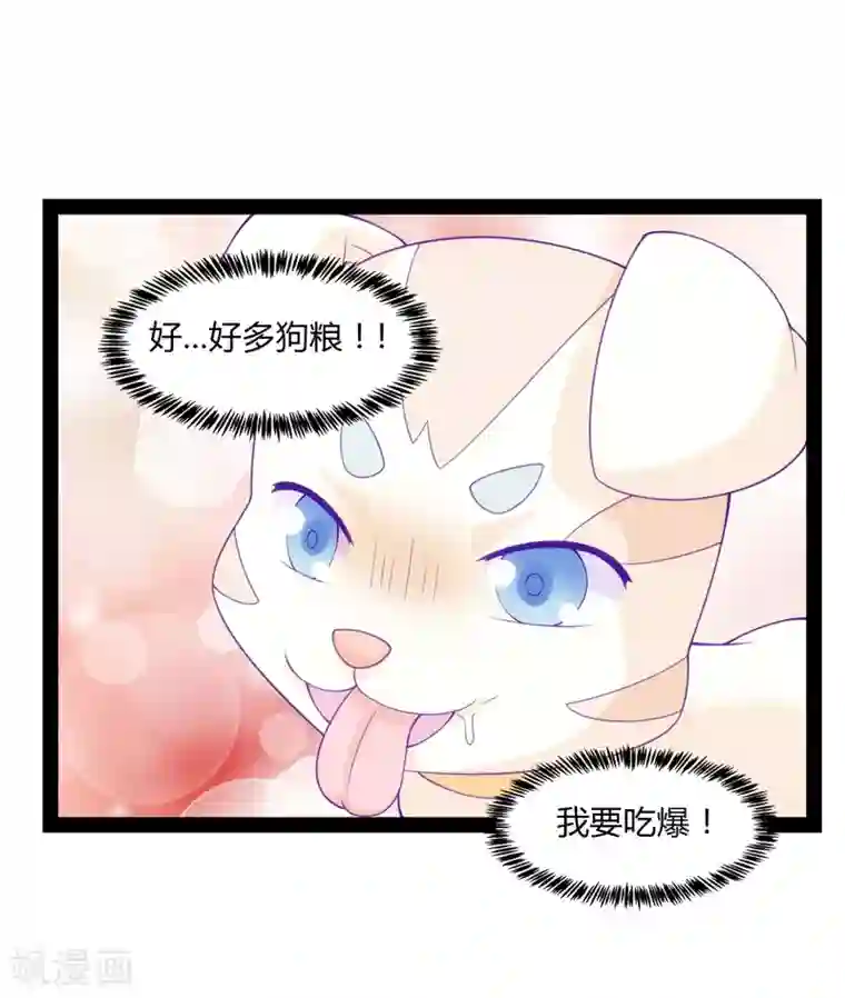 狗粮好吃第43话