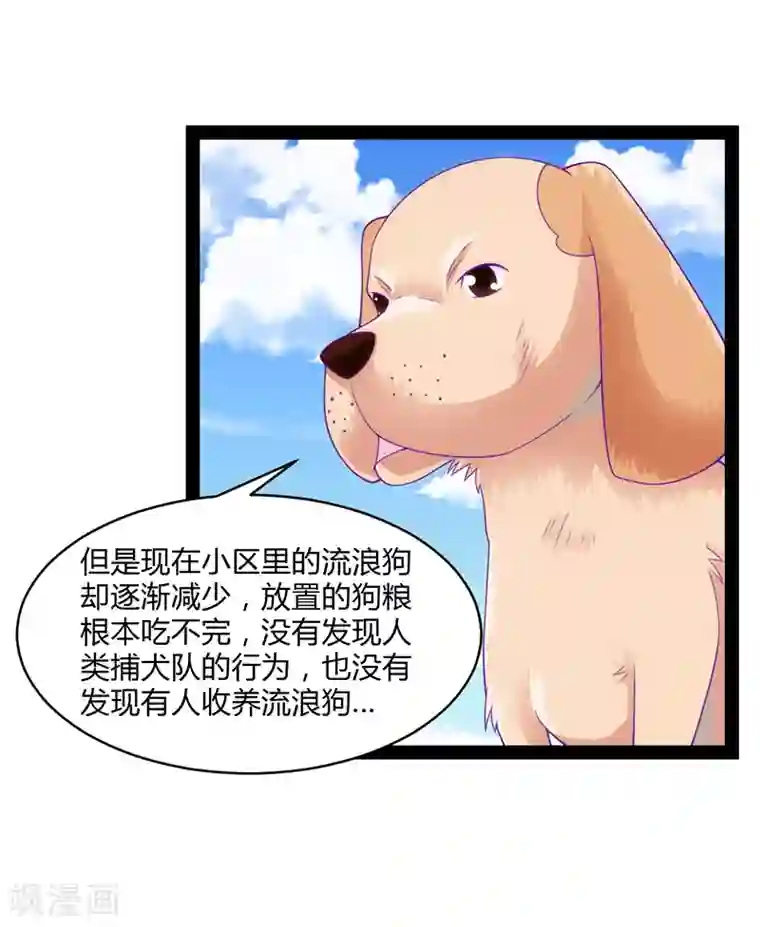 狗粮好吃第48话