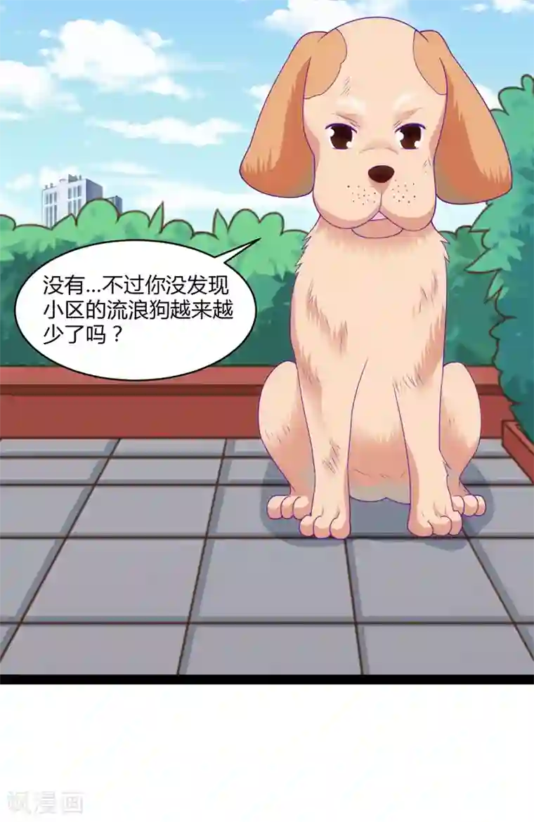 狗粮好吃第48话