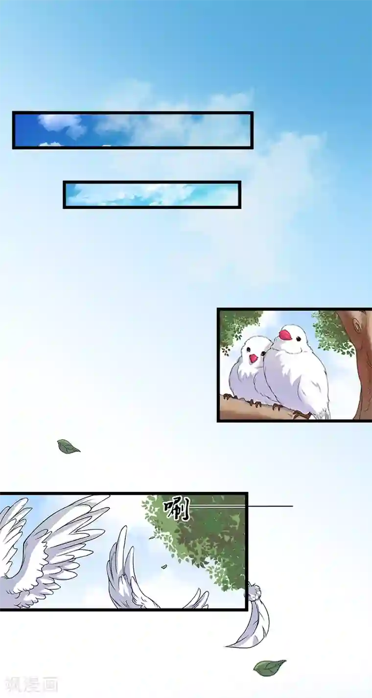 豪门强宠：秘密乖牌第2话 无望的婚姻