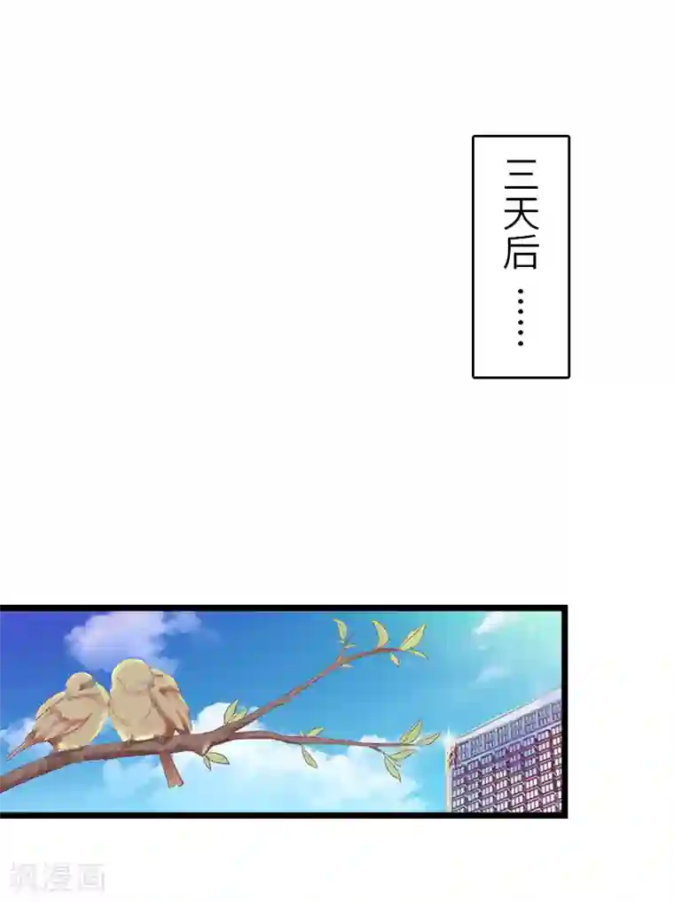 豪门强宠：秘密乖牌第26话 真相