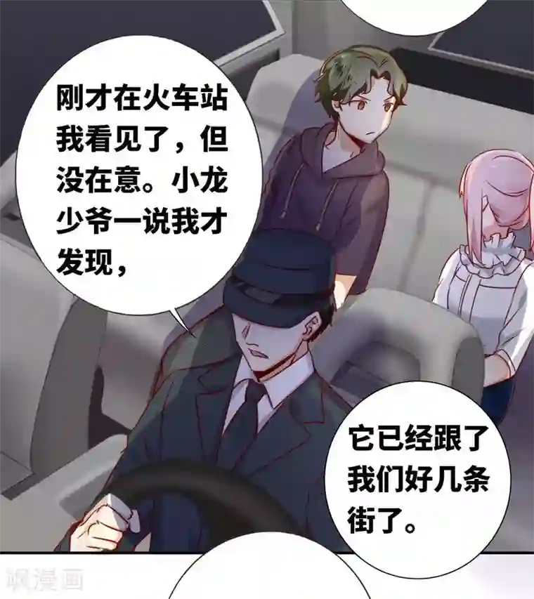 复仇少爷小甜妻第11话 礼物