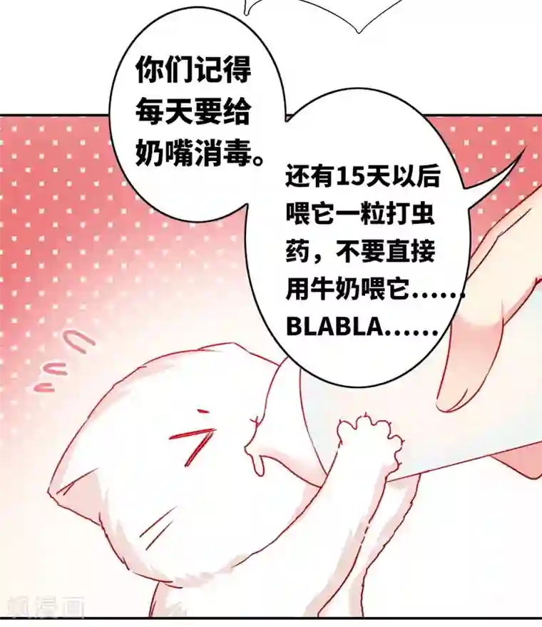 复仇少爷小甜妻第15话 珍惜