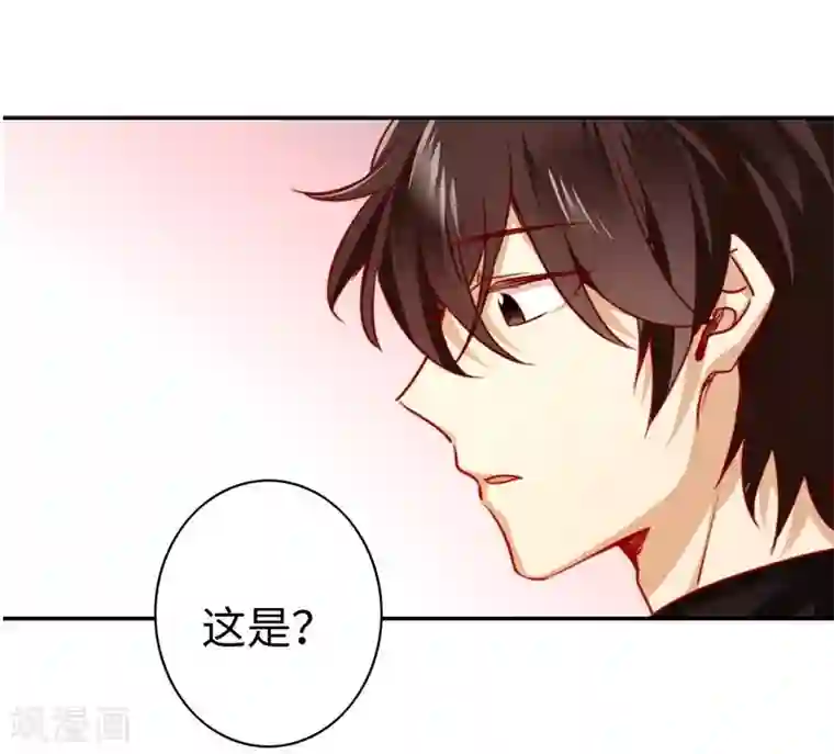 复仇少爷小甜妻第30话 倪家