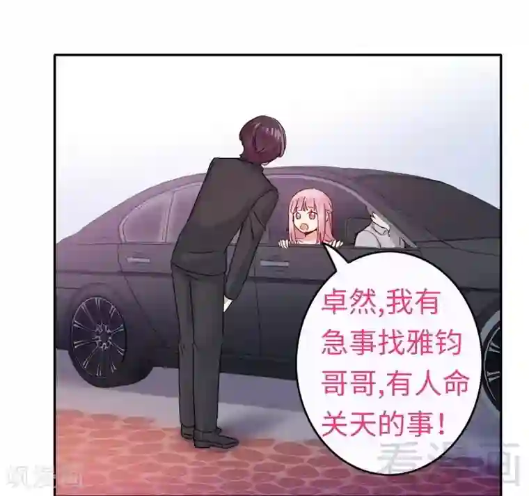 复仇少爷小甜妻第48话 睚眦必报