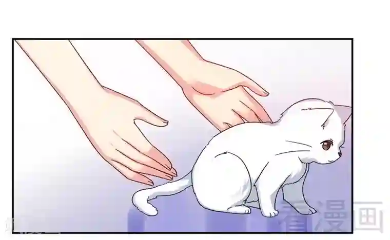 复仇少爷小甜妻第59话 鉴定书