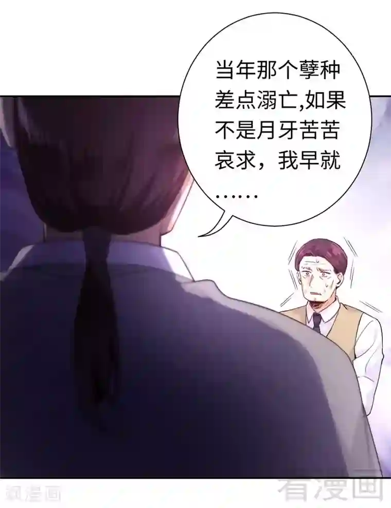 复仇少爷小甜妻第78话 暗潮涌动