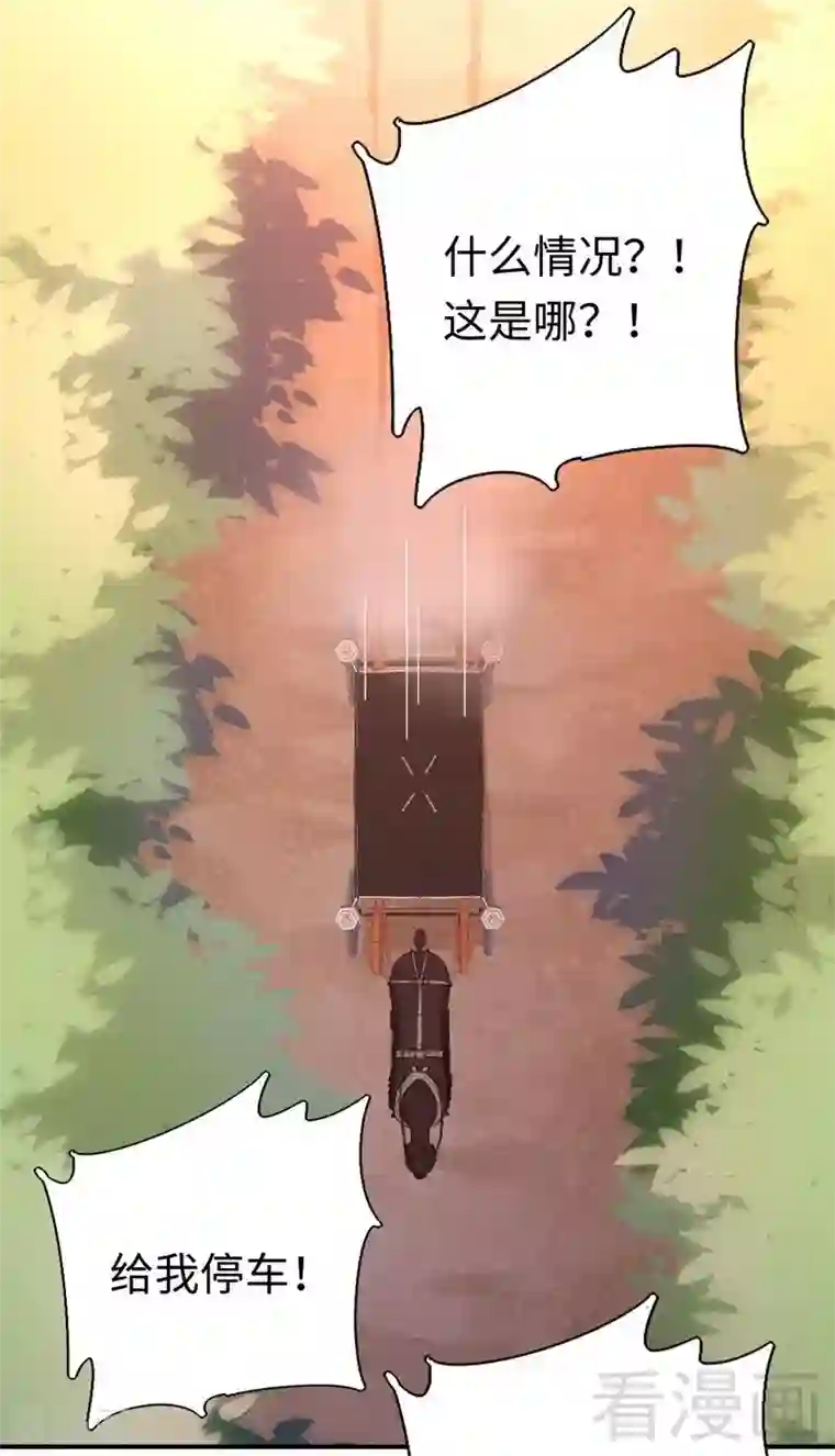 复仇少爷小甜妻第134话 行刺？