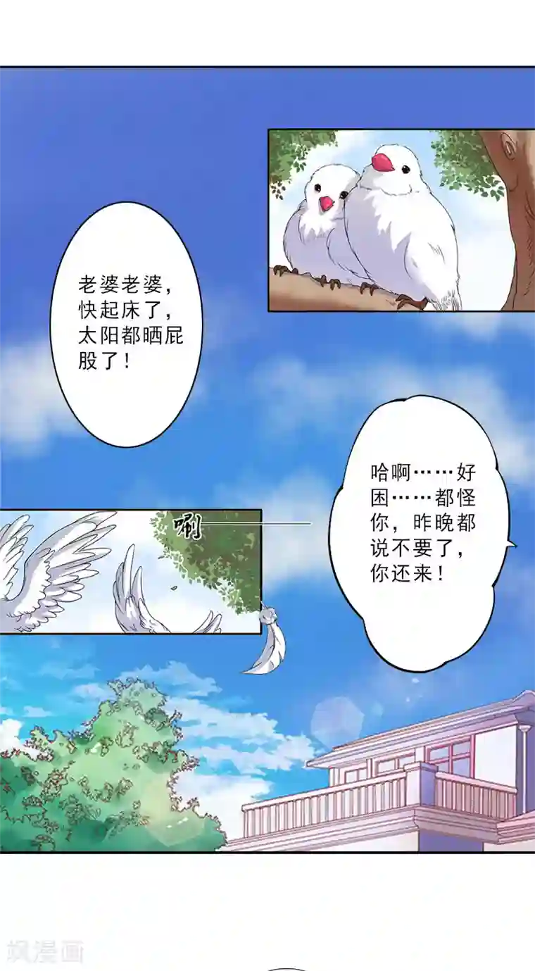 翻墙逃妻第12话 国民影后指导演戏