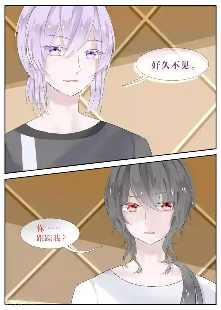 夜明珠第8话1 对峙