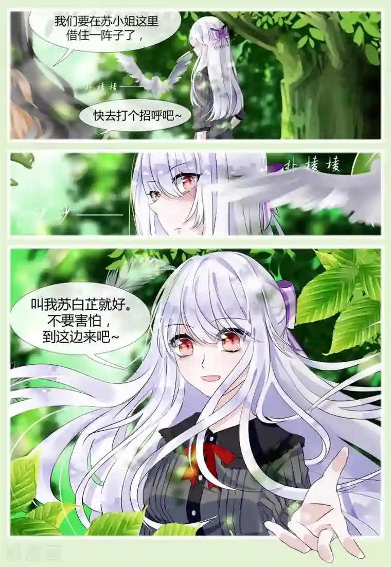 夜明珠第9话1 故人梦