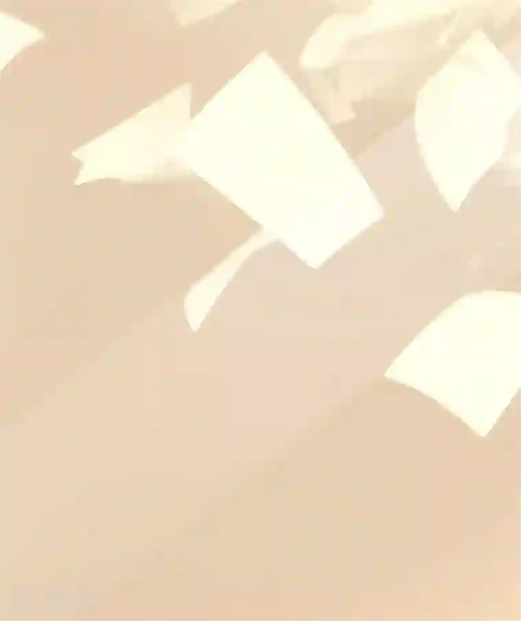 王爵的恋爱物语第47话