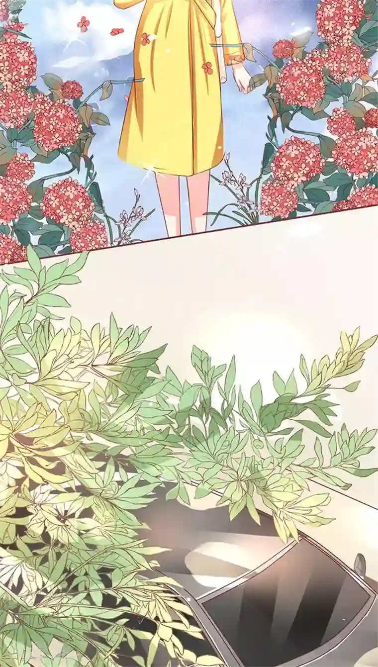 王爵的恋爱物语第74话