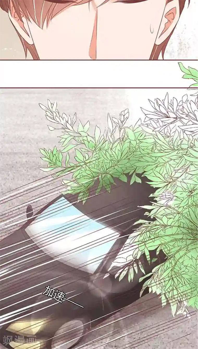 王爵的恋爱物语第101话