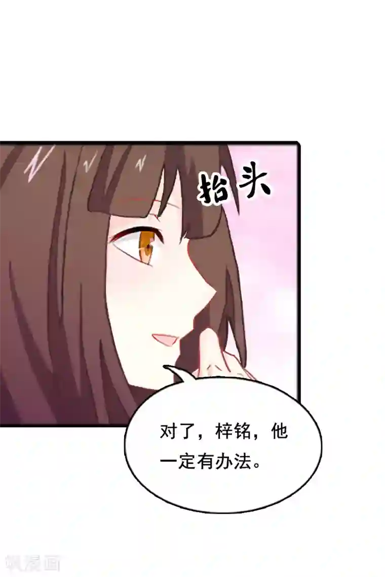 总裁大人太嚣张第4话 墓地转卖