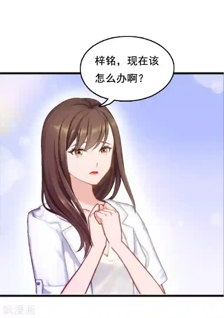 总裁大人太嚣张第4话 墓地转卖