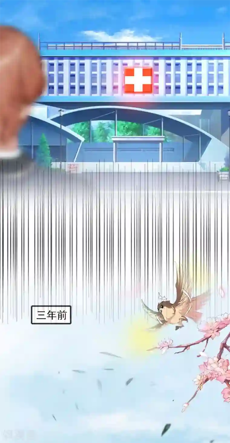 萌妻驾到第9话 3年前的阴谋
