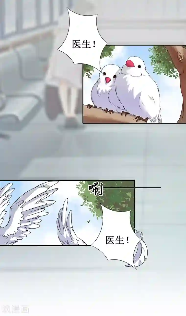 豪门游戏：顾总太强势第9话 决绝