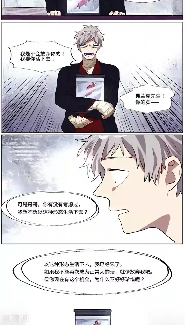 一日为客第37话