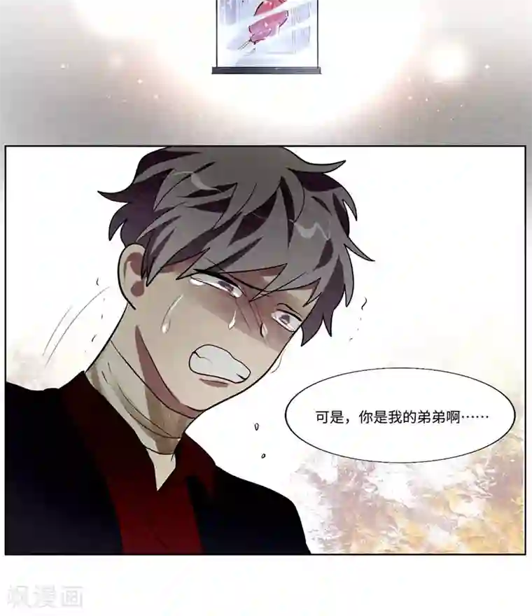 一日为客第37话