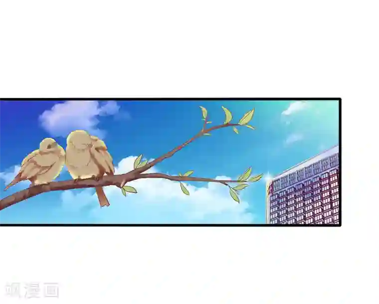 深情难料：总裁别放手第7话 销假来上班