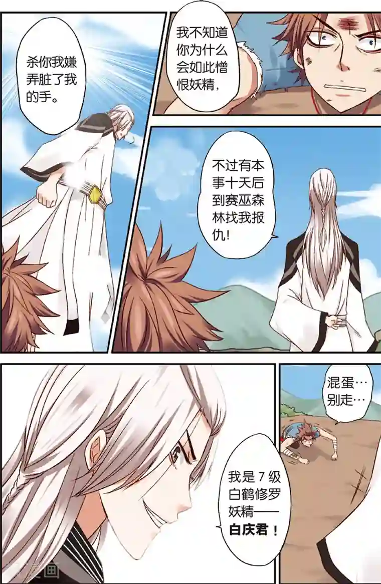 我是妖精第3话 赛巫妖林