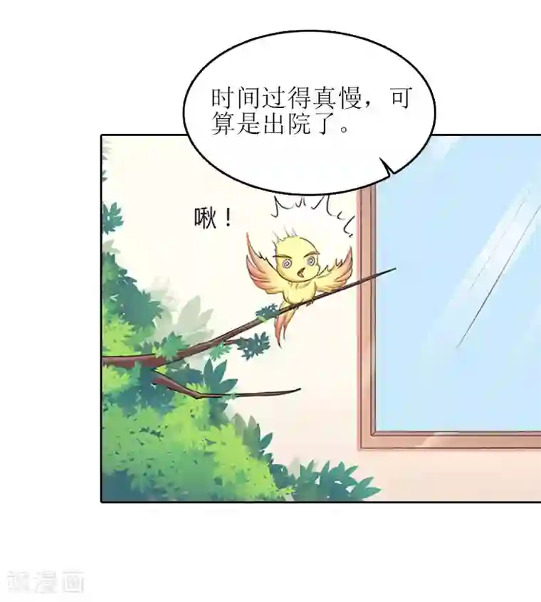 误入婚途:叛逆夫妻第15话 是个男孩