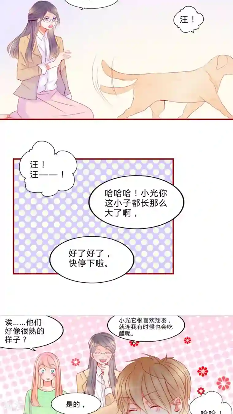 男神还魂曲第12话 乘胜追击