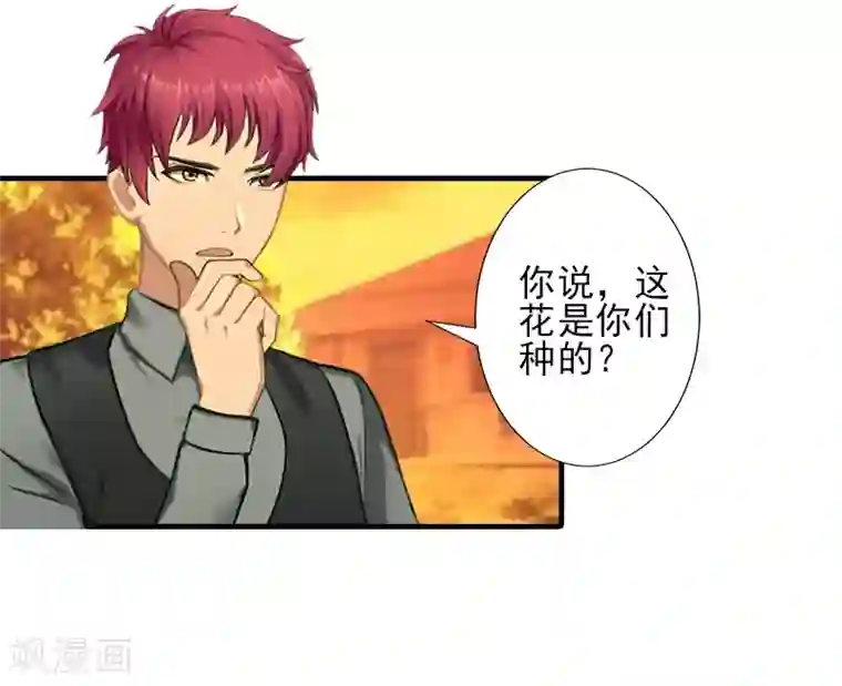 霸道顾少，请温柔第28话 借钱