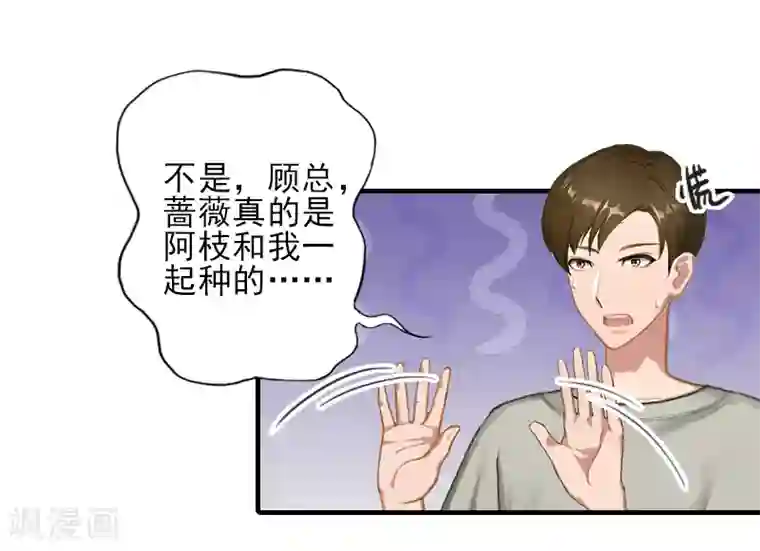 霸道顾少，请温柔第29话 或许我们真的不能在一起