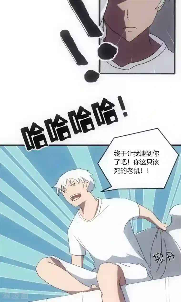 掌心女神第1话