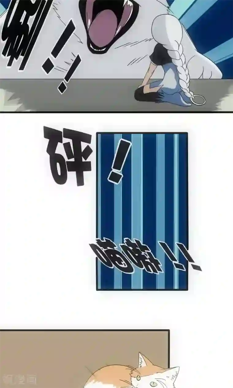 掌心女神第1话