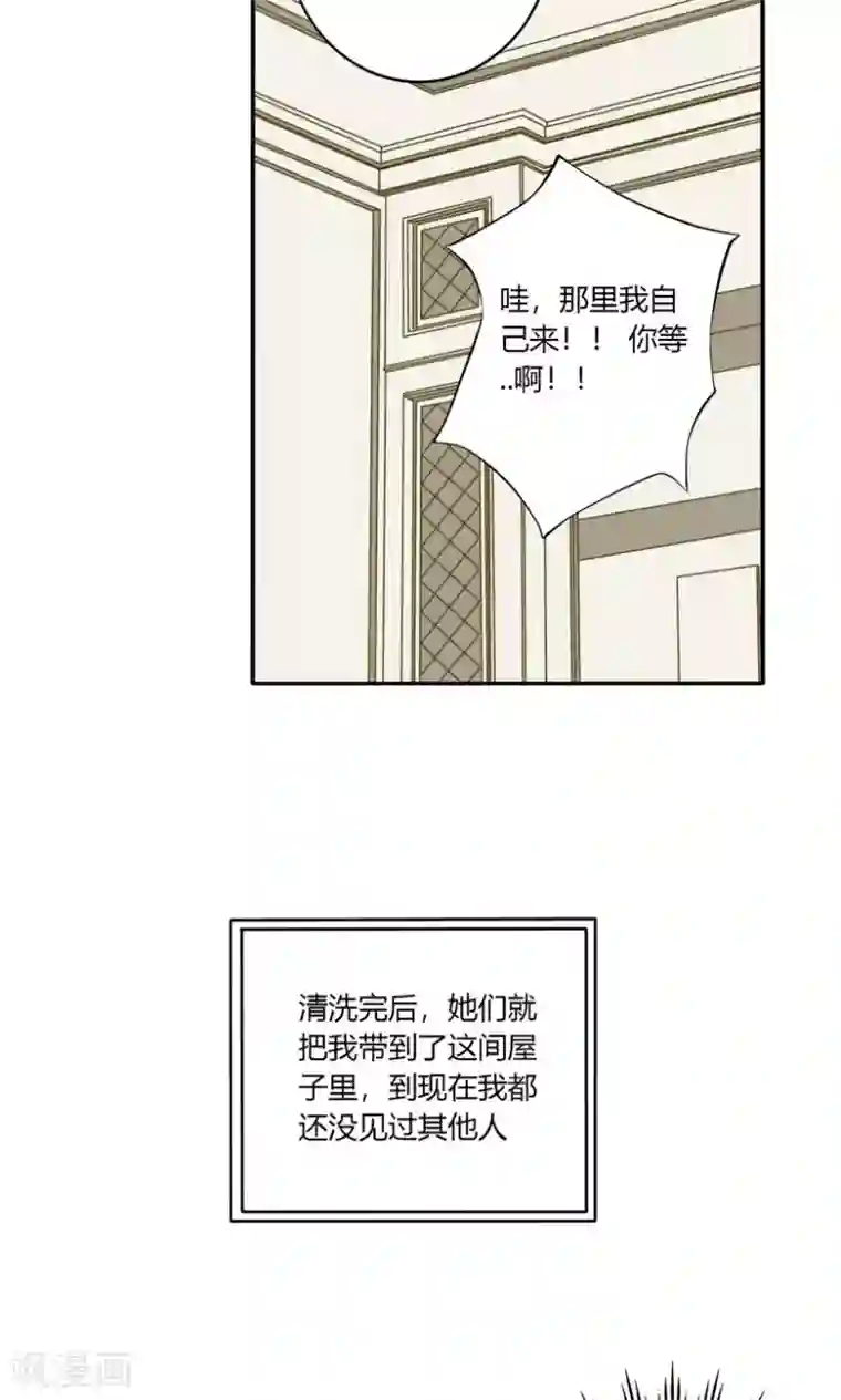 掌心女神第13话